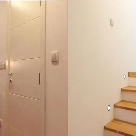 Purple And * Belgrade