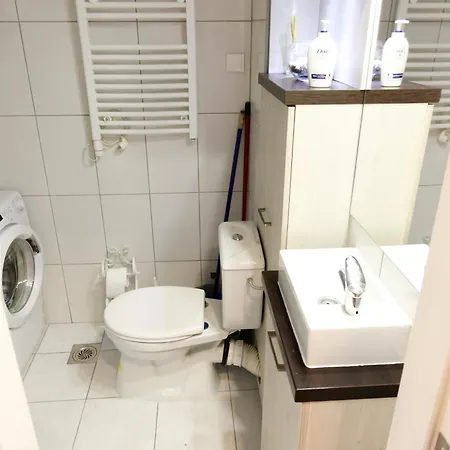 Purple And * Belgrade