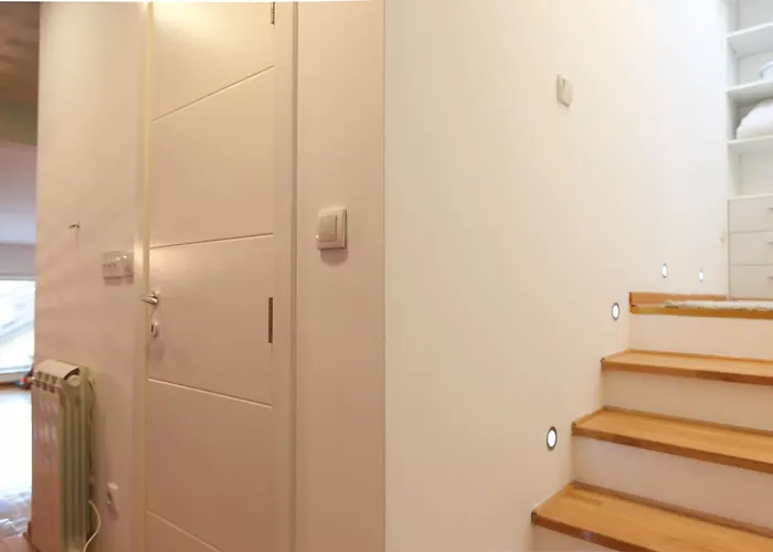 Purple And * Belgrado