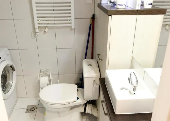 Purple And * Belgrado